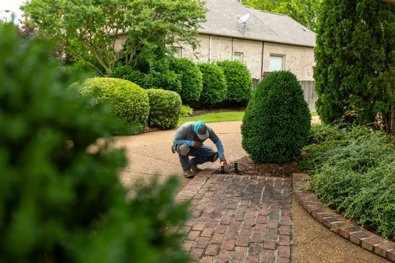 Best Outdoor Lighting Maintenance Plans: The Ultimate Guide