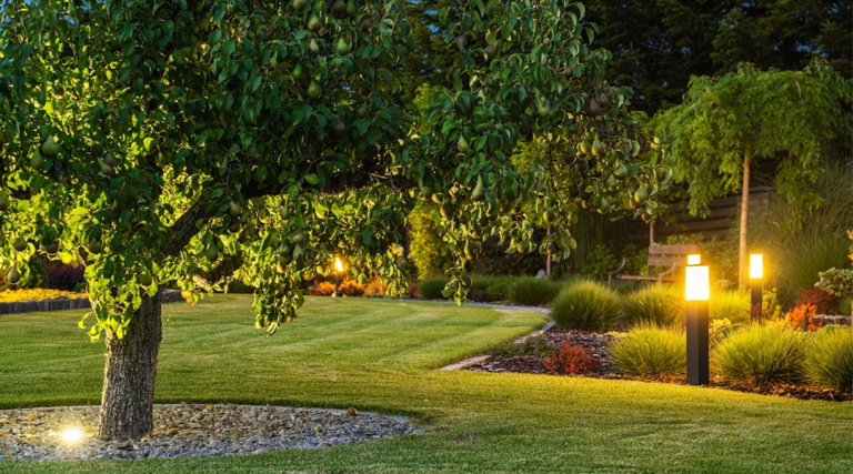 Best Outdoor Lighting Options: The Definitive Architectural Guide